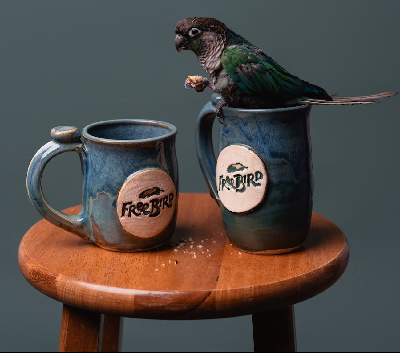 FreeBird Custom Pottery Mug